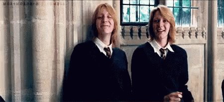 Happy Birthday and aka the  Weasley  Twins  From Harry Potter 