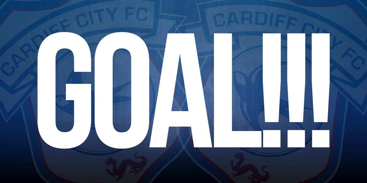 Cardiff City FC on X: 82 - GOAL!!! Tom Jenkins restores Bellamy's two goal  lead! (3-5) #CityAsOne 🔵⚽️🔵⚽️  / X
