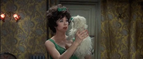 Started watching Irma La Douce tonight. This movie is funny as hell but I am feeling a bit triggered