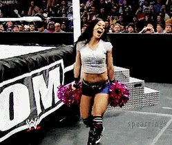 Happy Birthday Former WWE Star AJ Lee. 