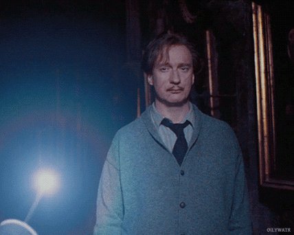 Happy Birthday David Thewlis! Thank you for being a wonderful Remus Lupin!  