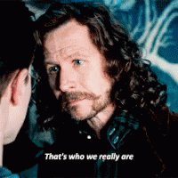 Happy birthday to Gary Oldman who plays Sirius Black 