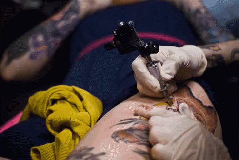 Wildcat Ink South (@wildcatinksouth) / Twitter Wildcat Ink South (@wildcatinksouth) / Twitter