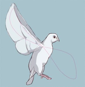 ハトのtwitterイラスト検索結果 古い順