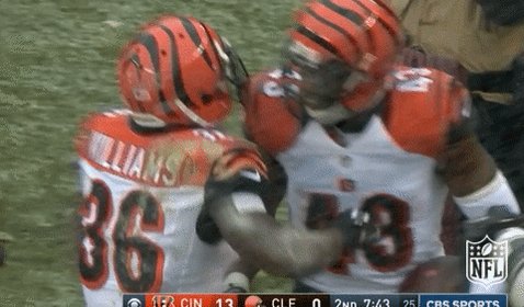  happy birthday to a true bengal 