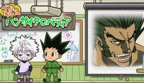 Hunter × Hunter, Hunterpedia