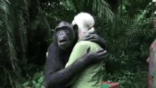 Happy Birthday, Dr. Jane Goodall! 