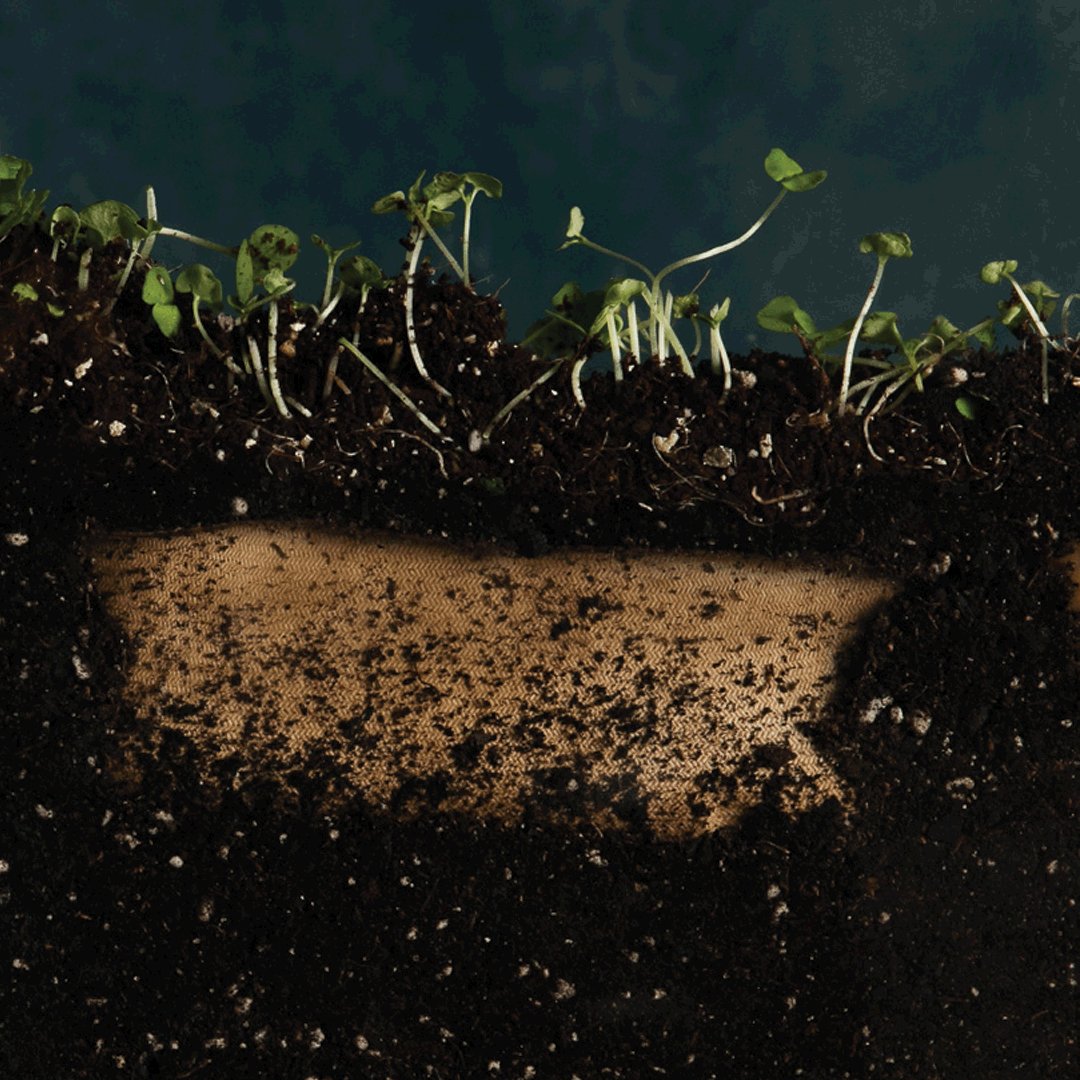 Welcome #earthday2017 by reducing landfill waste. Our plant-fiber food containers are compostable, both at π or at compost drop-off spots. https://t.co/su8a9mncUo