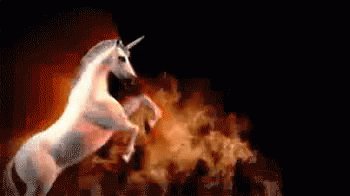 Wish Amy Goodman a Happy Birthday. Let\s celebrate with unicorns!  