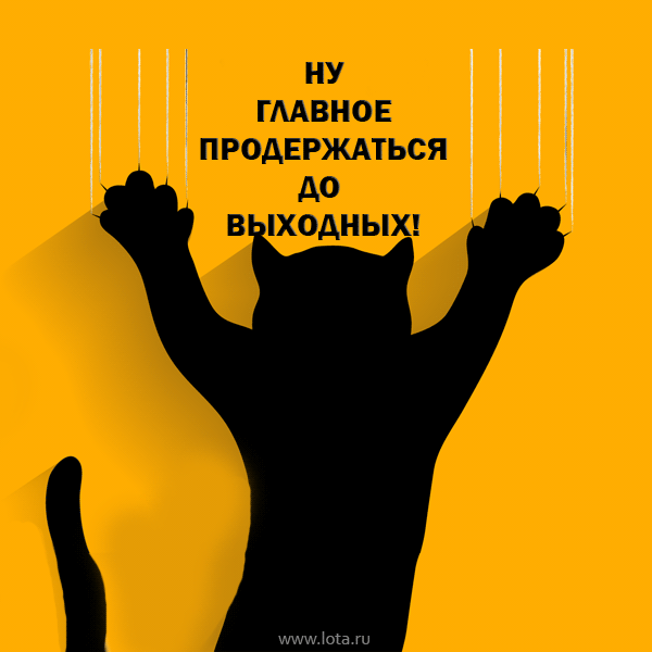 С началом рабочего дня картинки