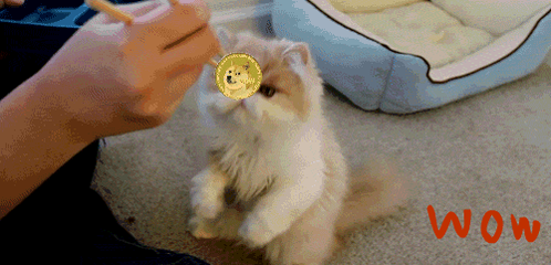Dogecoin
