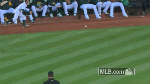 Mlb Japan A Twitter 2015年好プレイ アスレチックス ボールボーイがファールゾーンに飛んできた打球を見事にダイビングキャッチ T Co Rkl643pmi1 Mlb Japan A Twitter 2015年好プレイ アスレチックス ボールボーイがファールゾーンに飛んできた打球を見事にダイビングキャッチ T Co Rkl643pmi1