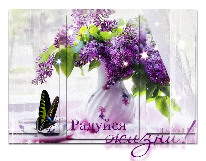 Виктор Сергин (@ViktorXvv) / X