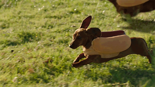 Heinz sausage dog ad cheap