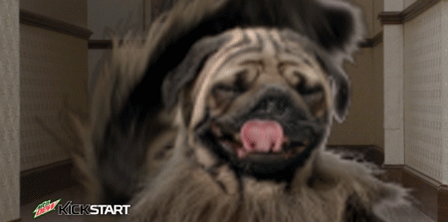 This Puppy Monkey Baby Is Freaking Super Bowl Viewers Out Huffpost Sports