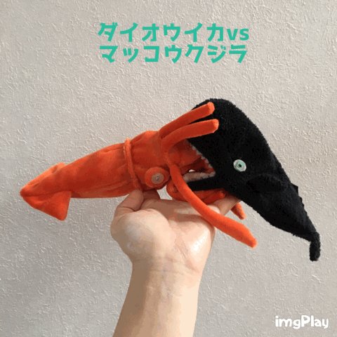 せこなお on X: 