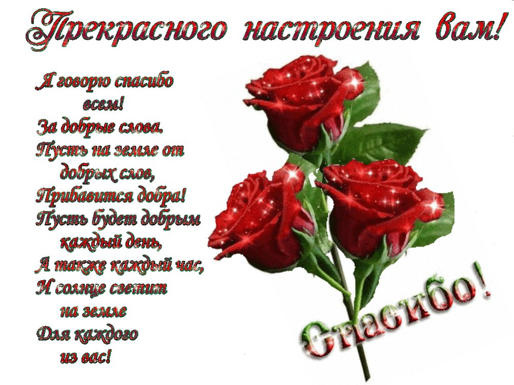 Картинки спасибо и отличного дня, картинки про