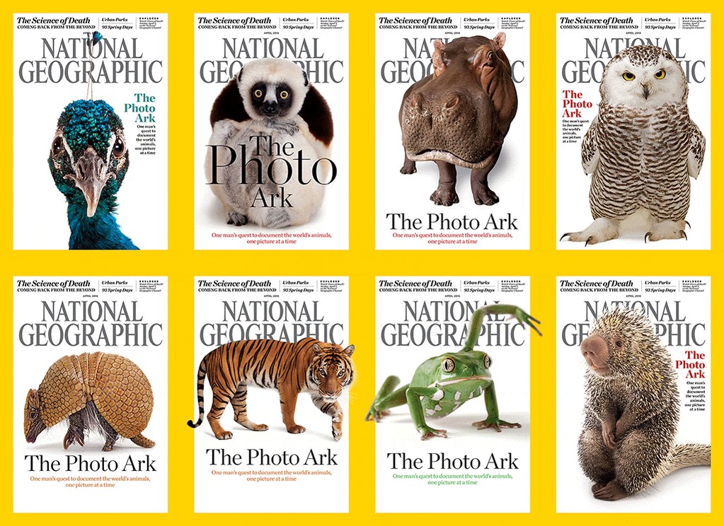 National Geographic on Twitter: National Geographic on Twitter: