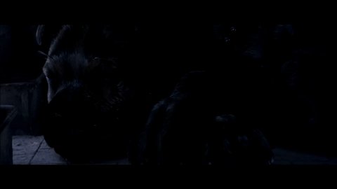 ハグリッドの常識破りの動物ペット5種 ドラゴンの卵 鳥 蜘蛛 ポッターポータル Potterportal