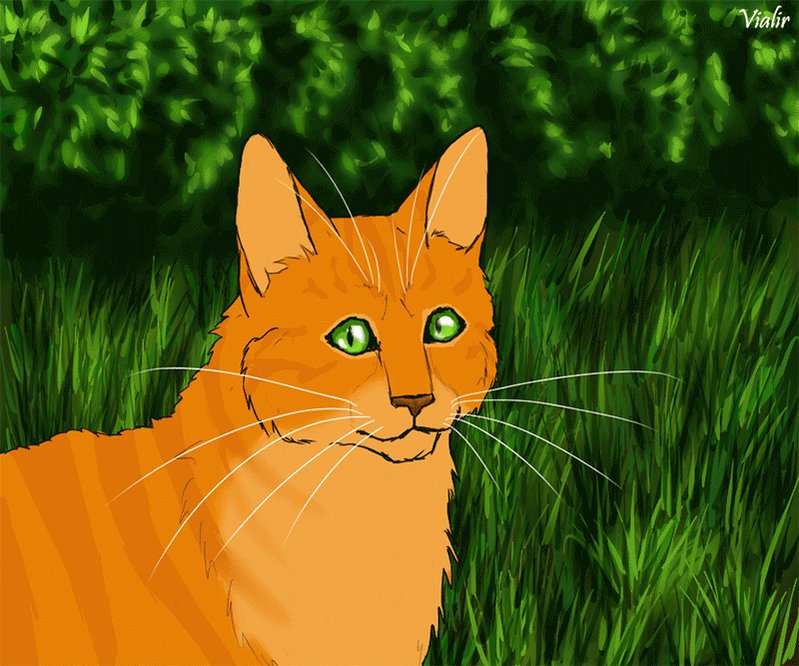 GATOS GUERREIROS E FOFOS - WARRIOR CATS (ROBLOX) 