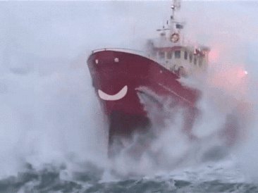 I guess, after the Boaty McBoatface vote, we should've seen this coming. Total red flag. #Brexit