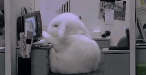 Twitter Media