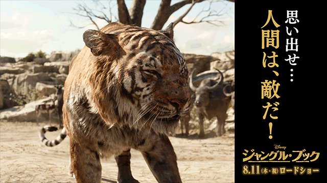 人間はジャングルの 脅威 か それとも 希望 か ジャングルブック シアカーン ディズニー スタジオ Scoopnest 人間はジャングルの 脅威 か それとも 希望 か ジャングルブック シアカーン ディズニー スタジオ Scoopnest