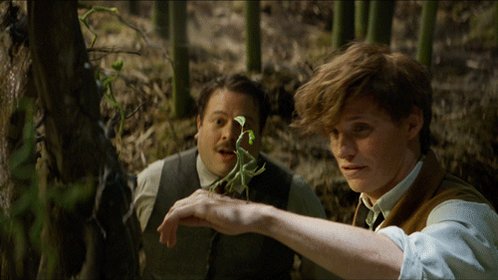1d Cim1126 さんが魔法動物 ボウトラックル を捕まえました 性格は優しく誠実で とっても内気 鍵開けが得意らしく いざという時にとっても頼りになる可愛いやつ ハリポタ ファンタビで魔法体験 ワーナー ブラザース ジャパン Scoopnest