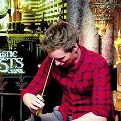 Happy birthday to the most adorable precious  talented person in the universe, eddie redmayne ! 