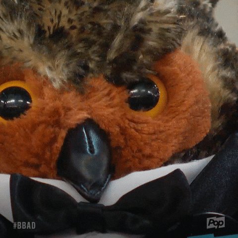 @BBADOrwell's photo on #bbad