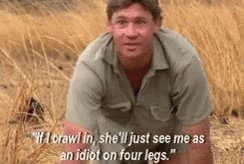 Man! has me in my feels! Happy Birthday Steve Irwin 