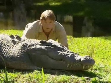 Happy birthday Steve Irwin, still sorely missed by animal lovers all over the world.     