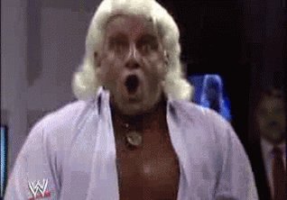 Happy 70th Birthday Ric Flair! WOOOOOO! 