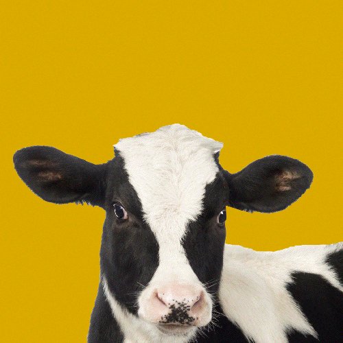 Happy birthday, Chloe Bailey ( We hope your day is full of vegan treats.   