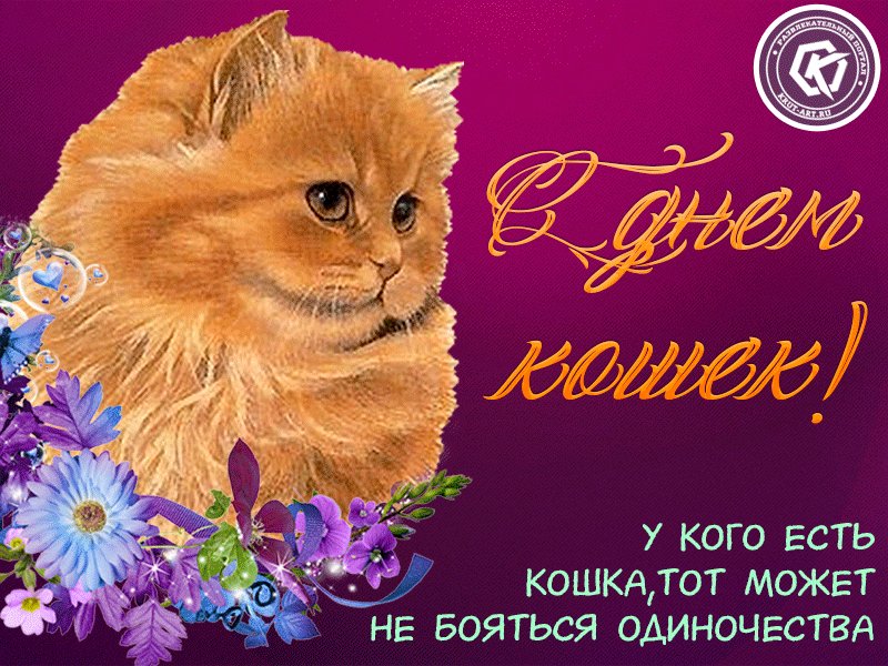 Международный день кошек картинки 8 августа, открытка для