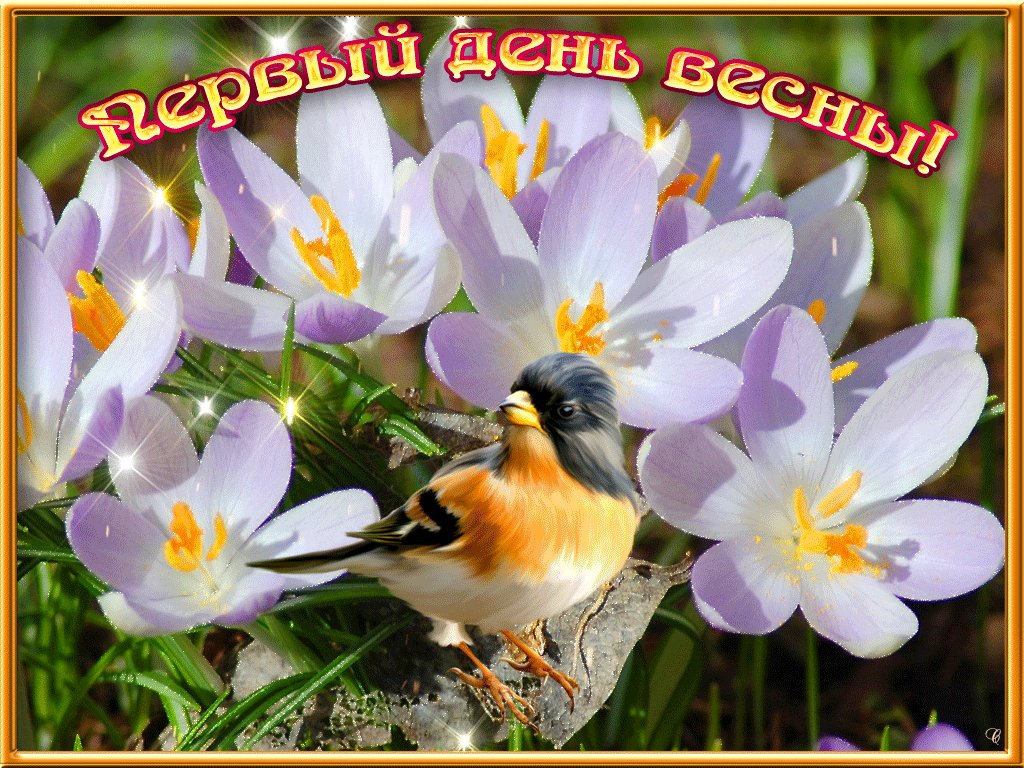 Картинка с первой весны анимации, добрый вечер
