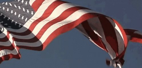 Following all #KAG...thank you Cynthia, I'm honored. 🙏🇺🇸⚘⚘..more Patriots 🙏🇺🇸..
👉🚨@stand4honor🚨👈
@bizwomen4TRUMP
@mymynags
@MAGAgirly
@cjbj731
@go4itbas
@2501Wolf
@jg_soccer18
@billy4ever9
@TBruceTrp773
@DFBHarvard
@RebelAngelMike
@GarBear4Trump
@SealeyGerald
@DoingRight1