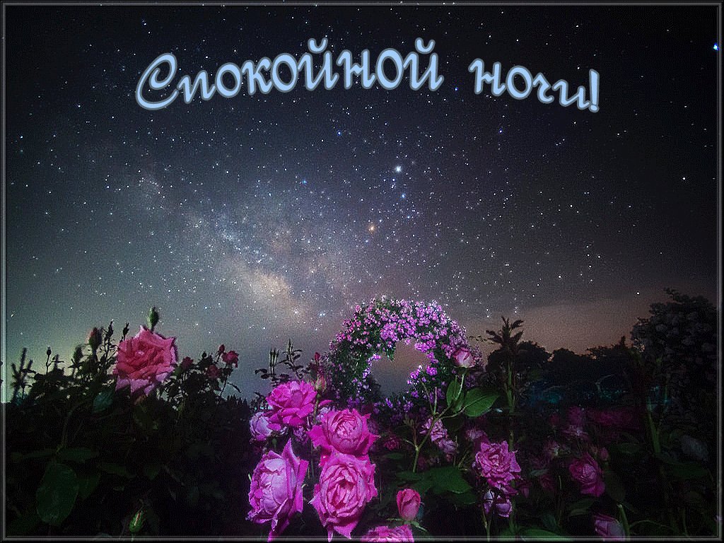 Хорошая открытка доброй ночи