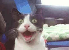 Happy #Friday ! How's everyone doing today?