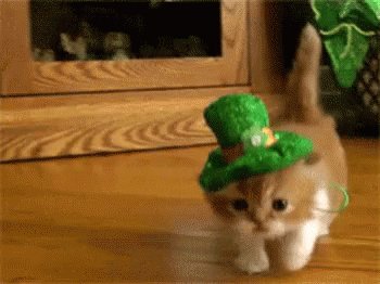 If you're crawling around town this weekend looking for a party, you should head to Stag Lounge at 228 NE 2nd St. & enjoy these great St. Patrick's Day specials: Guinness $2, Snake Bites $3, Irish Car Bombs $4, Irish Coffee $4, Baby Guinness Shots $4 🍻☘
https://www.facebook.com/events/359710894624841/ …