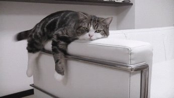 Después de esta intensa semana...nos vamos a tomar un KIT-KAT...¡HASTA EL LUNES!