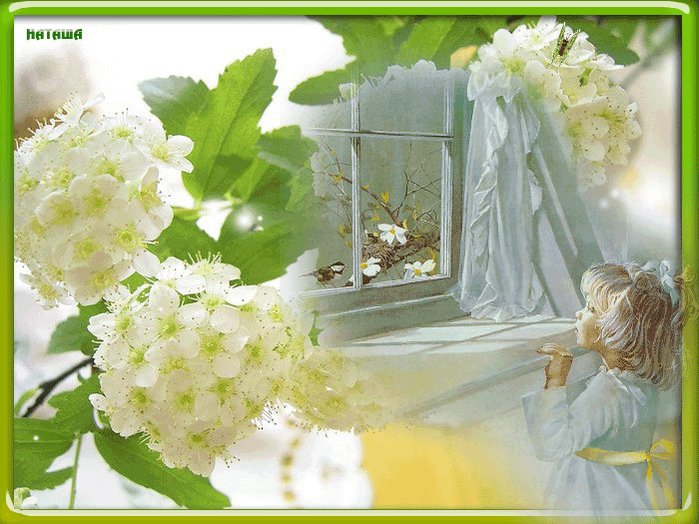 Гифы солнечного утра