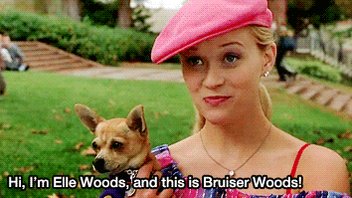 Happy Birthday Reese Witherspoon aka Elle Woods! 