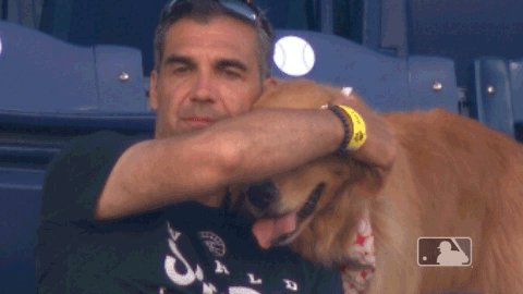 A fitting GIF choice on #NationalPuppyDay ...
Good luck tonight, @NovaMBB!
#LetsMarchNova | #RingTheBell