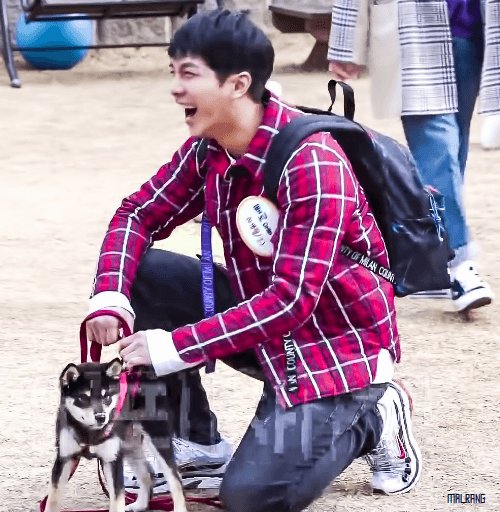 Ep.62 👉http://bitly.kr/EgTRd
#이승기 #leeseunggi #李昇基 #イスンギ
#집사부일체 #家师父一体 #masterinthehouse