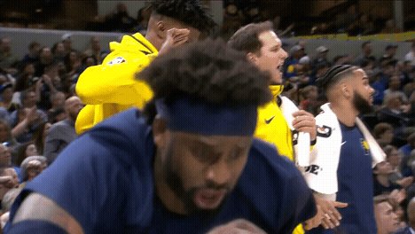 The bench has reached a new level of hype