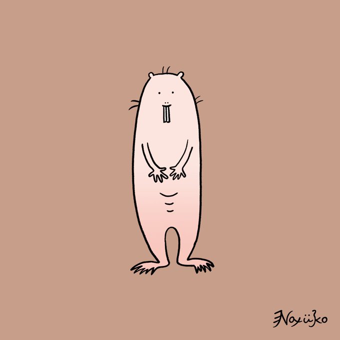 ハダカデバネズミのtwitterイラスト検索結果 古い順 ハダカデバネズミのtwitterイラスト検索結果 古い順