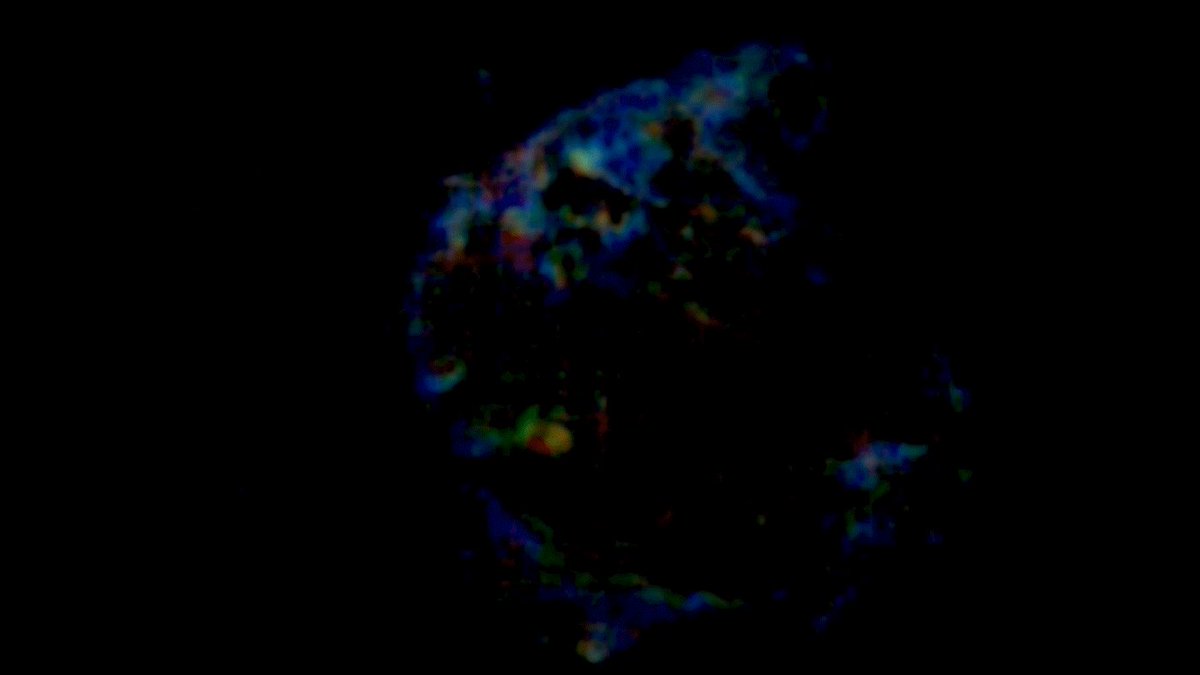 SOFIAtelescope (@SOFIAtelescope) on Twitter photo 2019-04-10 16:28:39 A newborn star in Orion is affecting the formation of its stellar siblings. Learn more: go.nasa.gov/2Uqd3zX #NationalSiblingsDay A newborn star in Orion is affecting the formation of its stellar siblings. Learn more: go.nasa.gov/2Uqd3zX #NationalSiblingsDay