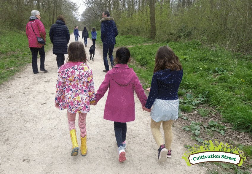 CultivationSt photo