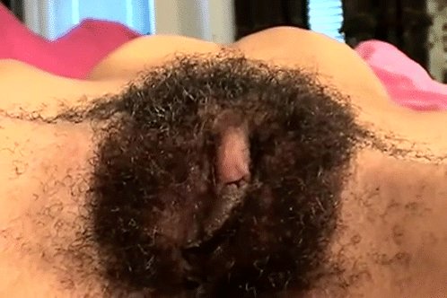 Haarige Scheide Cartoon Pov